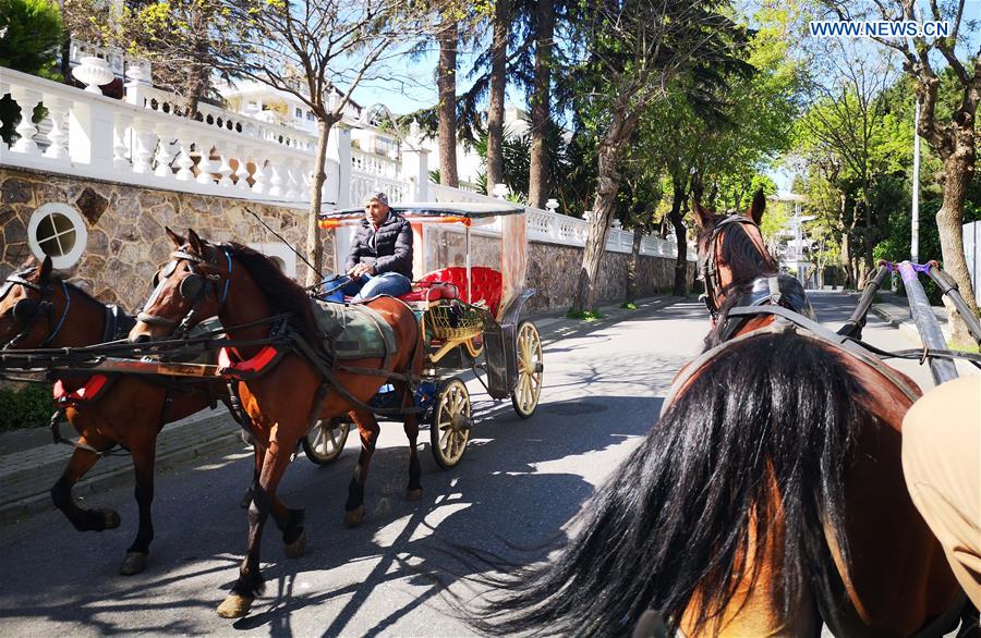 TURKEY-ISTANBUL-HORSE-DRAWN CARRIAGES-BAN