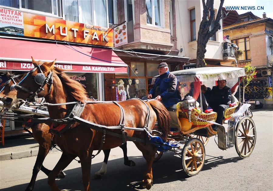 TURKEY-ISTANBUL-HORSE-DRAWN CARRIAGES-BAN
