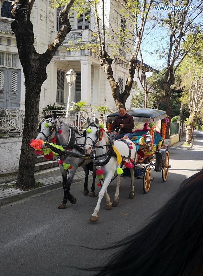 TURKEY-ISTANBUL-HORSE-DRAWN CARRIAGES-BAN