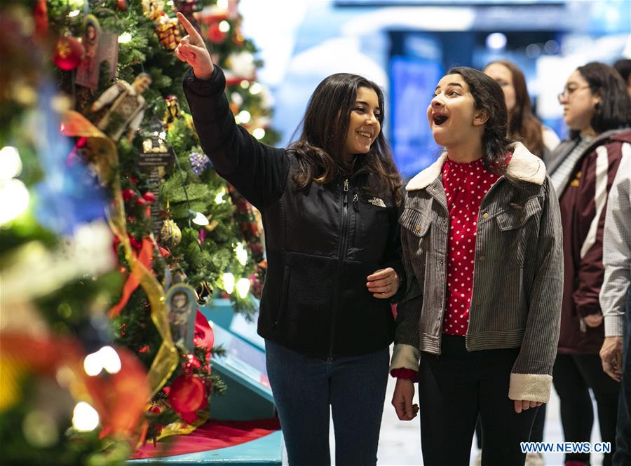 U.S.-CHICAGO-CHRISTMAS TREES