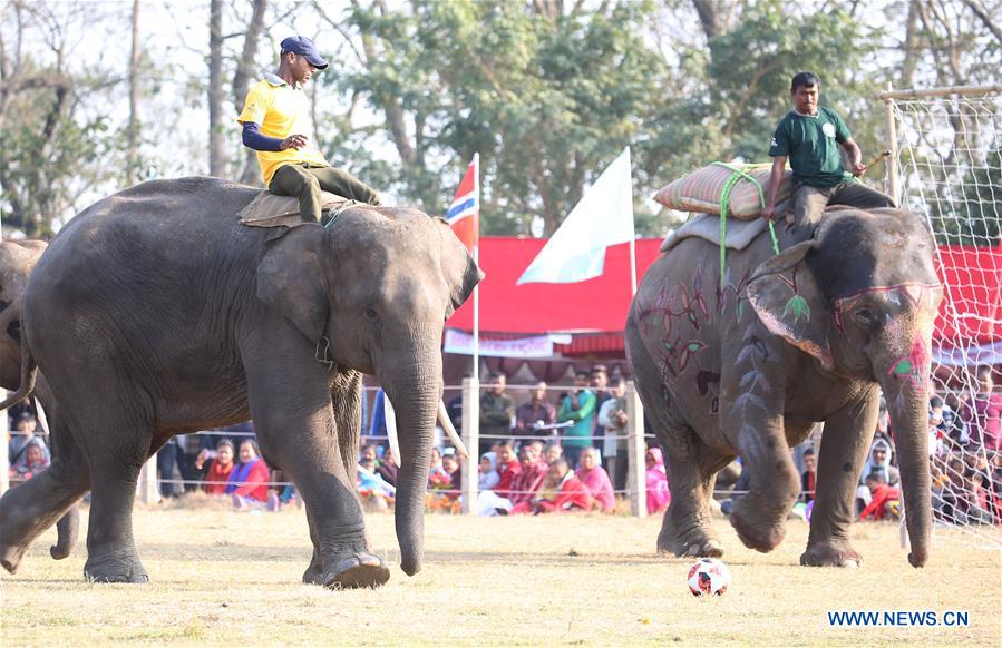 NEPAL-CHITWAN-ELEPHANT FOOTBALL GAME
