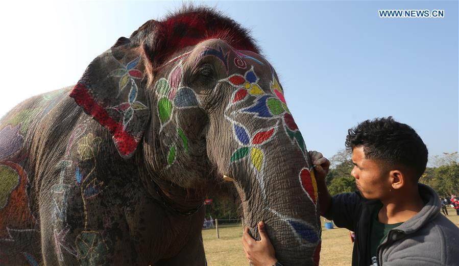 NEPAL-CHITWAN-ELEPHANT FESTIVAL-DECORATION COMPETITION