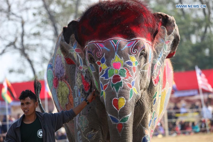 NEPAL-CHITWAN-ELEPHANT FESTIVAL-DECORATION COMPETITION