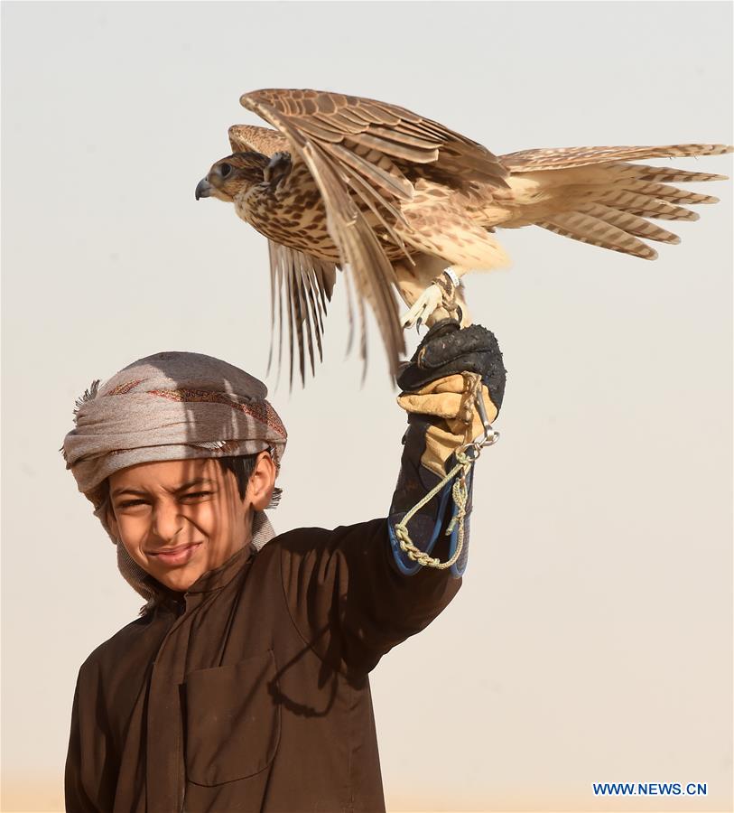 KUWAIT-JAHRA GOVERNORATE-FALCON TRAINING SHOW