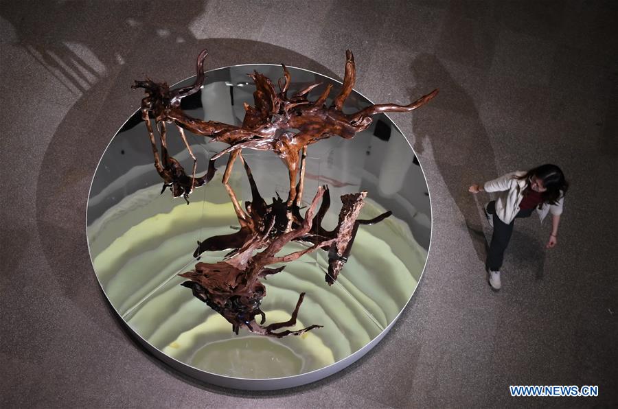 CHINA-FUJIAN-FUZHOU-HAINAN ROSEWOOD-ART EXHIBITION (CN)
