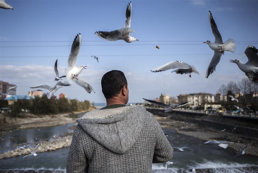 IRAN-TONEKABON-MIGRATORY BIRDS