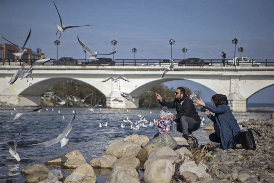 IRAN-TONEKABON-MIGRATORY BIRDS