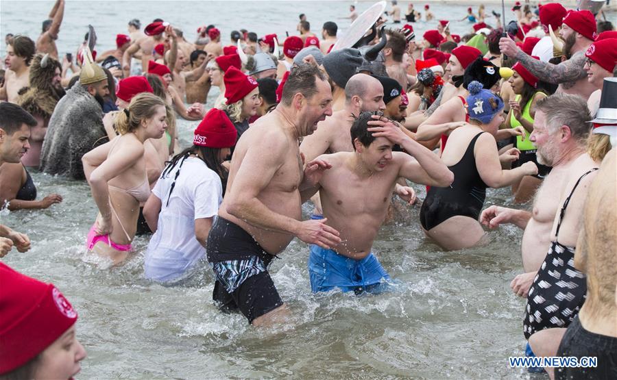 CANADA-TORONTO-POLAR BEAR DIP
