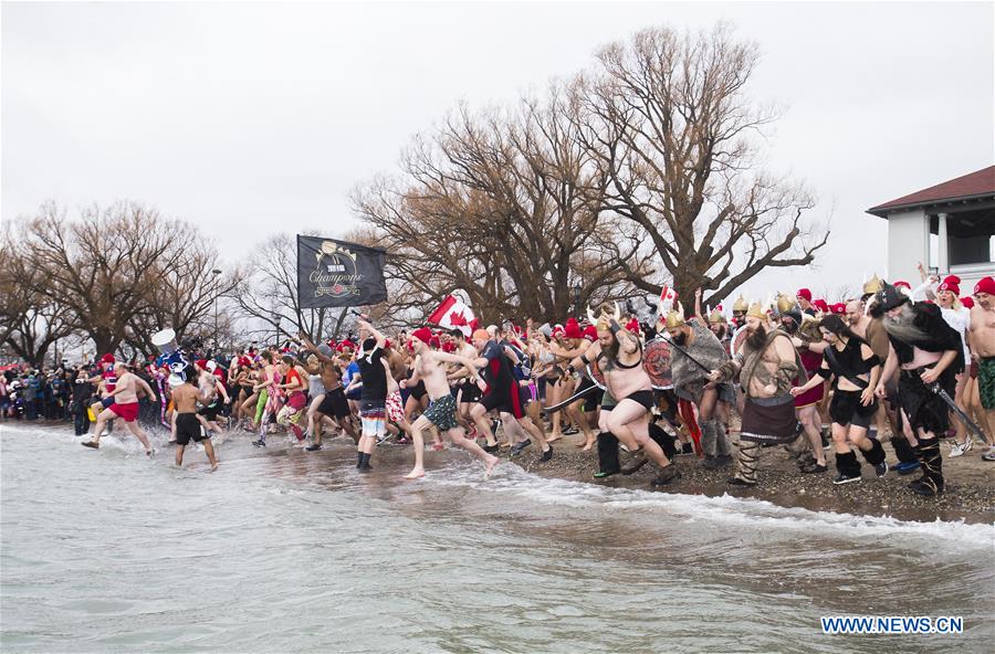 CANADA-TORONTO-POLAR BEAR DIP
