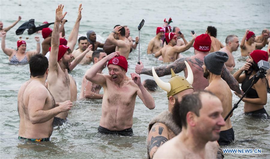 CANADA-TORONTO-POLAR BEAR DIP