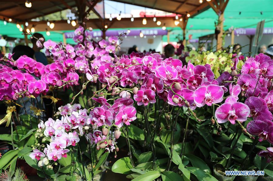 CHINA-HONG KONG-FARMERS' MARKET-AGRICULTURAL AND FISHERY PRODUCTS (CN)