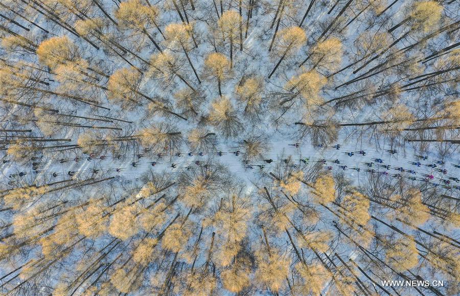 (SP)CHINA-CHANGCHUN-CROSS COUNTRY-VASALOPPET SKI FESTIVAL (CN)