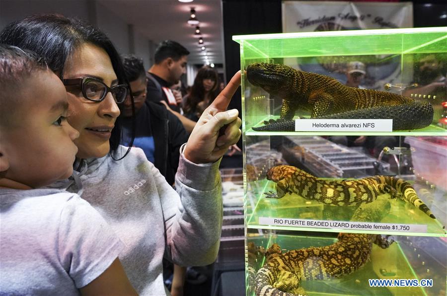 Reptile Super Show held in Anaheim, U.S. Xinhua English.news.cn