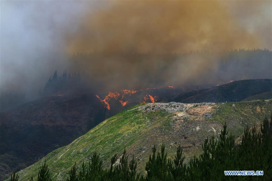 NEW ZEALAND-NAPIER-FIRE