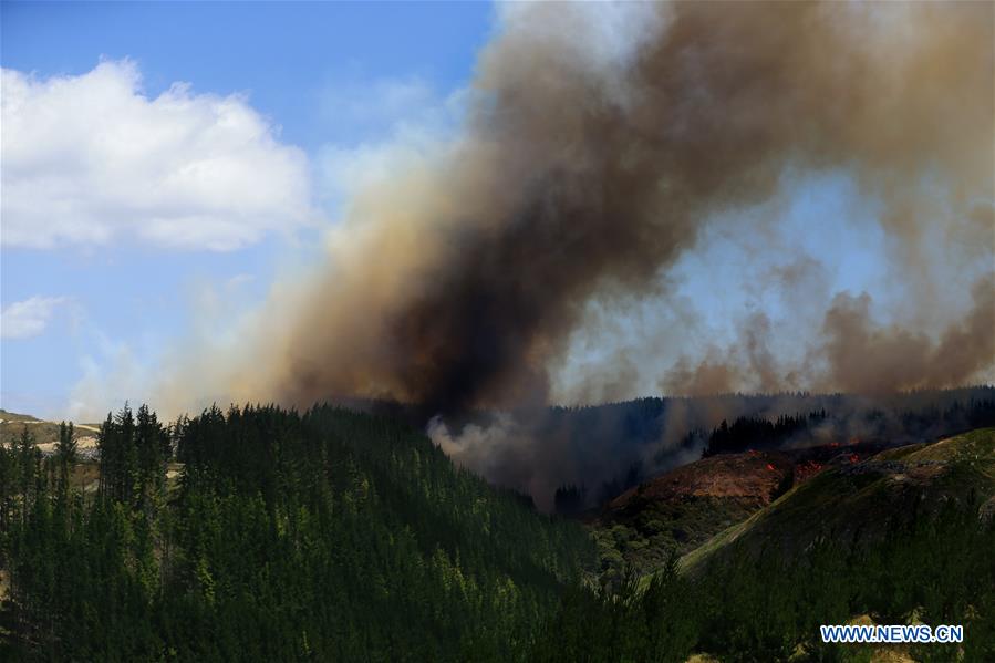 NEW ZEALAND-NAPIER-FIRE