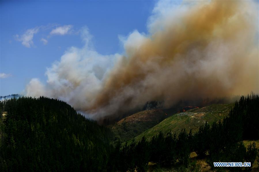 NEW ZEALAND-NAPIER-FIRE