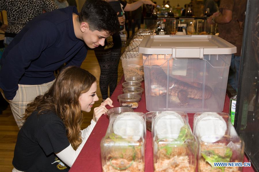  U.S.-TEXAS-DALLAS-EXOTIC REPTILE SHOW