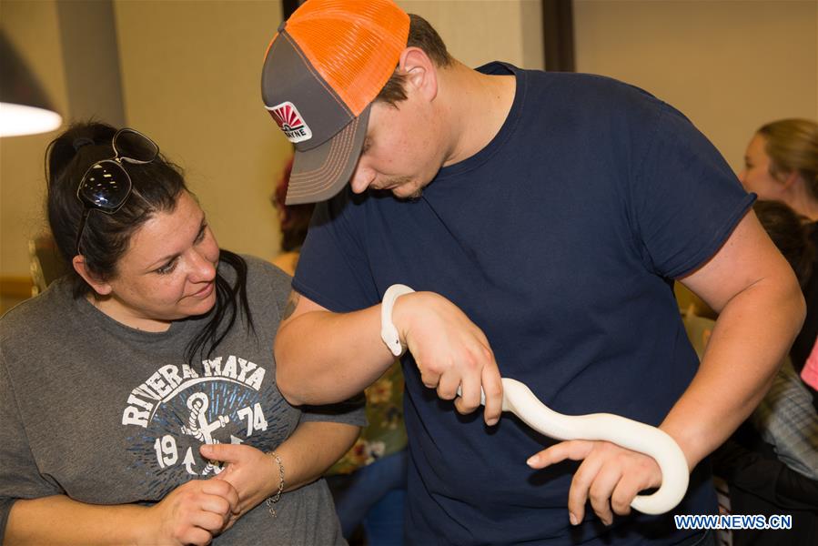  U.S.-TEXAS-DALLAS-EXOTIC REPTILE SHOW