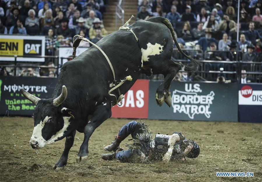 (SP)U.S.-NEW YORK-BULL RIDING