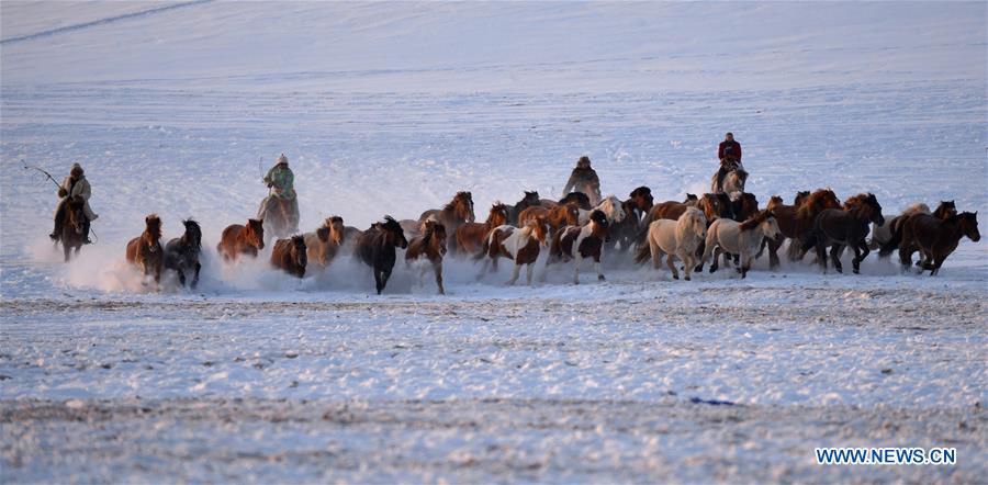 CHINA-INNER MONGOLIA-BASHANG PASTURE-PHOTOGRAPHY FESTIVAL (CN)