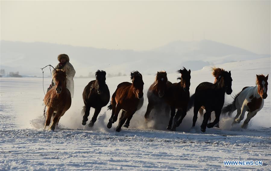CHINA-INNER MONGOLIA-BASHANG PASTURE-PHOTOGRAPHY FESTIVAL (CN)