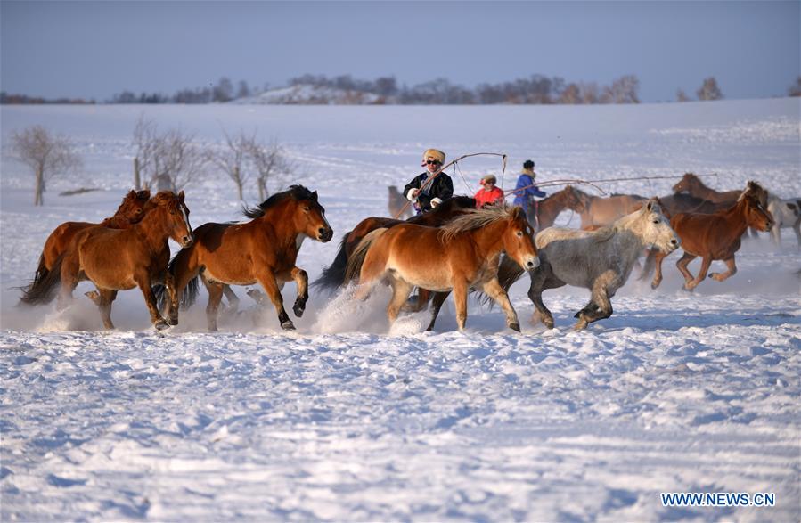 CHINA-INNER MONGOLIA-BASHANG PASTURE-PHOTOGRAPHY FESTIVAL (CN)