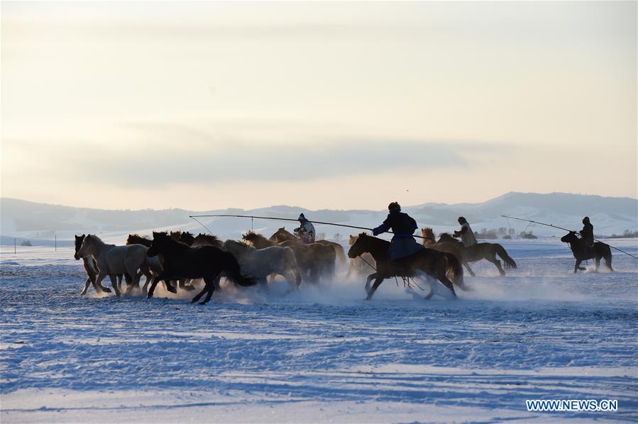 CHINA-INNER MONGOLIA-BASHANG PASTURE-PHOTOGRAPHY FESTIVAL (CN)