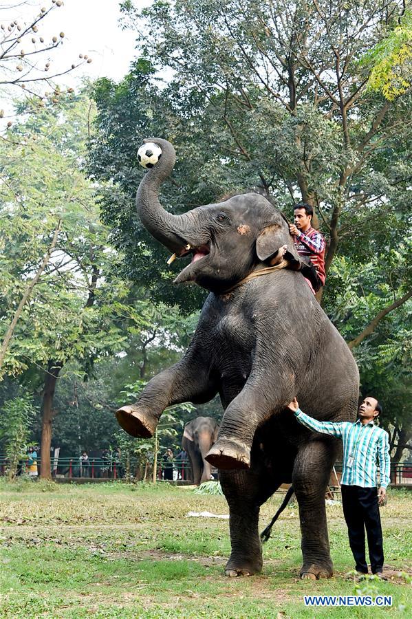 BANGLADESH-DHAKA-ZOO-ANIMALS-TRAINING
