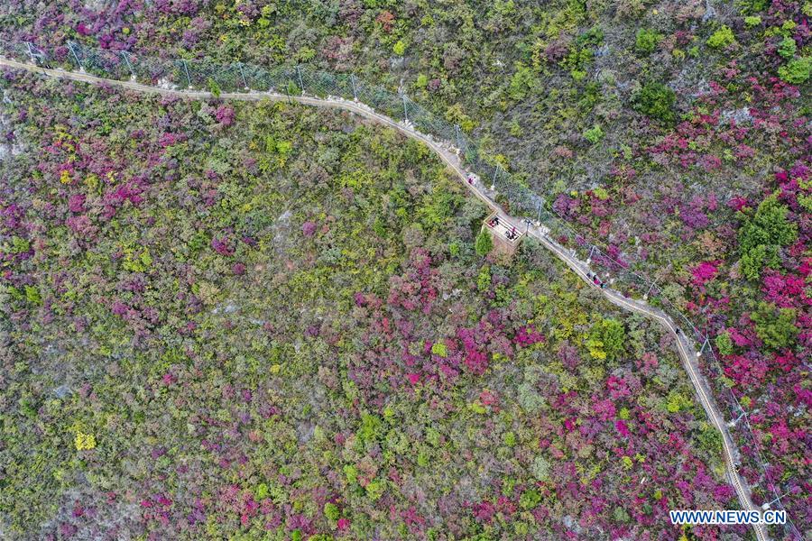 CHINA-THREE GORGES-CHONGQING-GREEN DEVELOPMENT (CN)