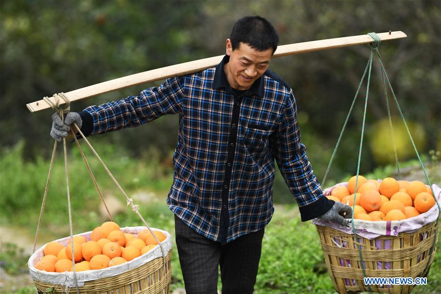 CHINA-THREE GORGES-CHONGQING-GREEN DEVELOPMENT (CN)