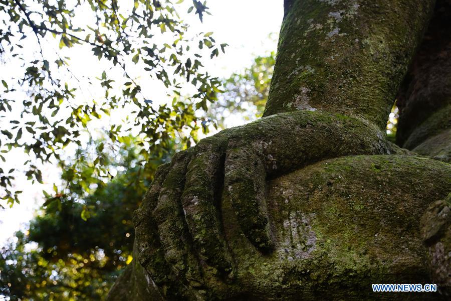 ITALY-BOMARZO-PARK OF MONSTERS
