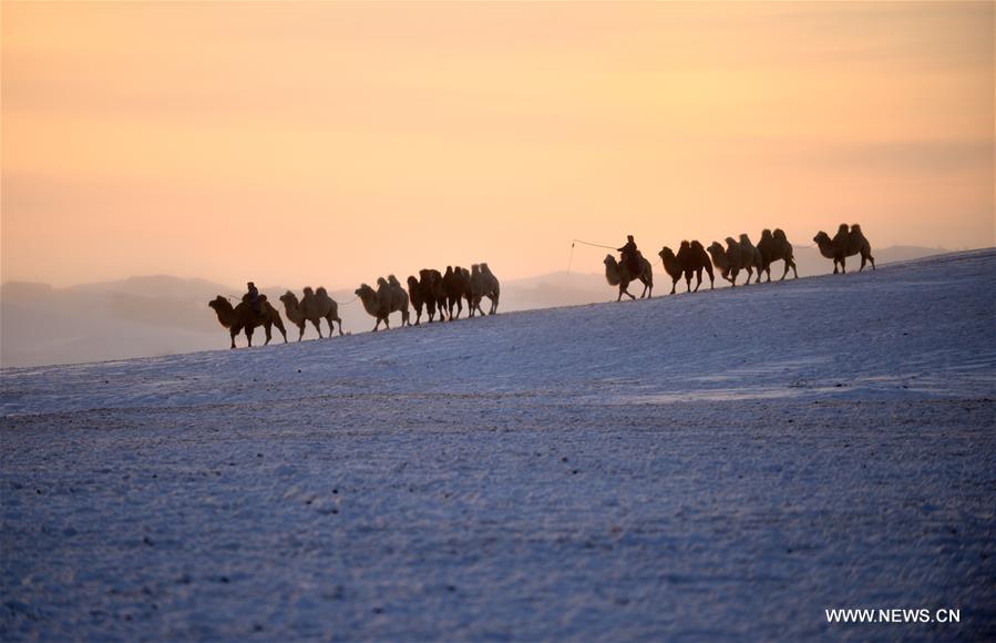 CHINA-INNER MONGOLIA-BASHANG PASTURE-PHOTOGRAPHY FESTIVAL (CN)