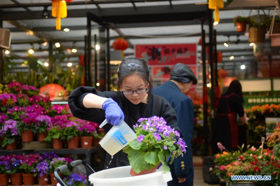 CHINA-HUNAN-CHINESE NEW YEAR-FLOWER ECONOMY (CN)