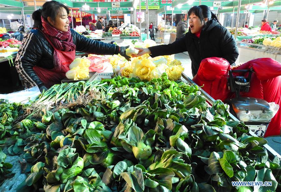 #CHINA-CPI-2019 (CN)