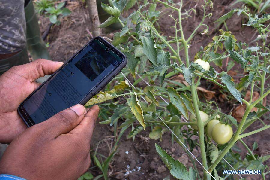 CAMEROON-YAOUNDE-MOBILE APP