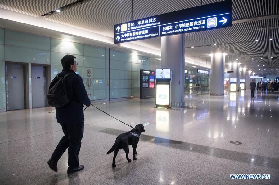 CHINA-CHANGSHA-SPRING FESTIVAL-TRAVEL RUSH-SNIFFER DOG (CN)