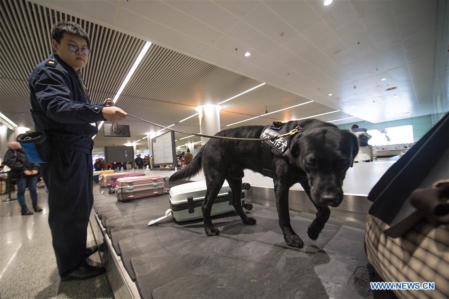 CHINA-CHANGSHA-SPRING FESTIVAL-TRAVEL RUSH-SNIFFER DOG (CN)