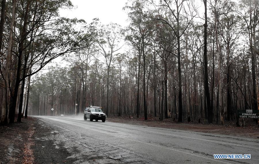 AUSTRALIA-BUSHFIRE-RAINFALL