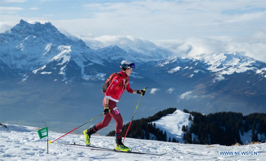 (SP)SWITZERLAND-VILLARS-WINTER YOG-SKI MOUNTAINEERING