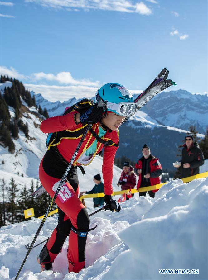 (SP)SWITZERLAND-VILLARS-WINTER YOG-SKI MOUNTAINEERING
