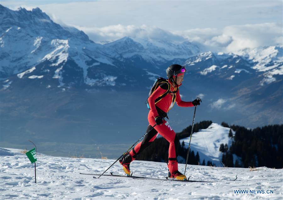 (SP)SWITZERLAND-VILLARS-WINTER YOG-SKI MOUNTAINEERING