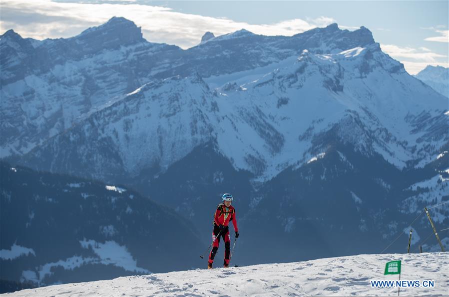 (SP)SWITZERLAND-VILLARS-WINTER YOG-SKI MOUNTAINEERING