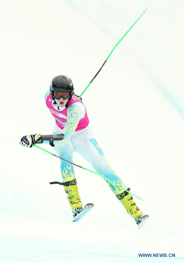 (SP)SWITZERLAND-LES DIABLERETS-WINTER YOG-ALPINE SKIING-MEN'S SUPER-G