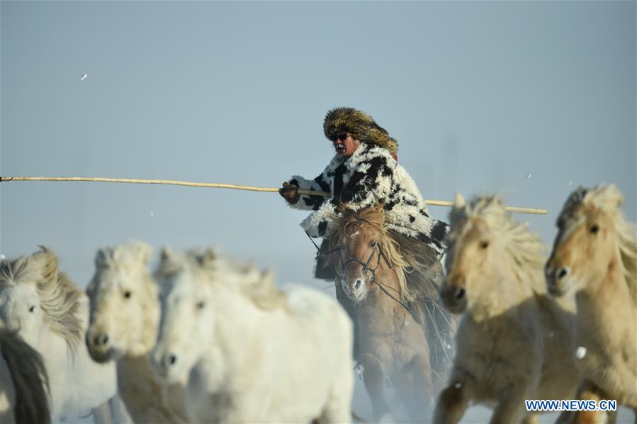 CHINA-INNER MONGOLIA-XILINHOT-HORSE TRAINING (CN)