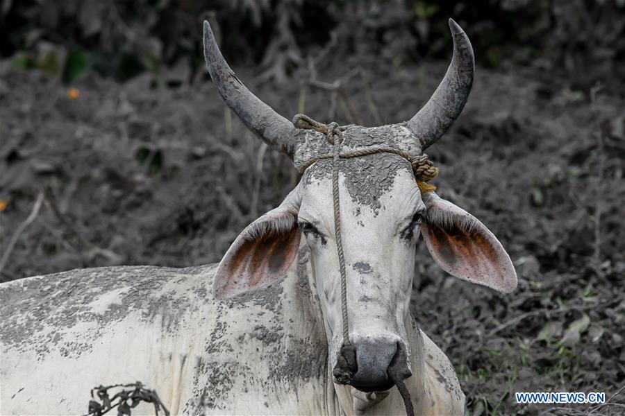 PHILIPPINES-TAAL VOLCANO-ASH AND MUD