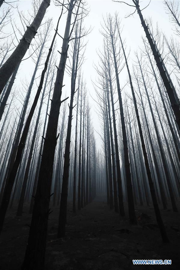 AUSTRALIA-CANBERRA-BUSHFIRE