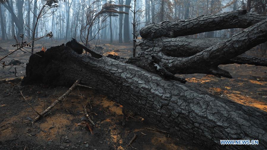 AUSTRALIA-CANBERRA-BUSHFIRE