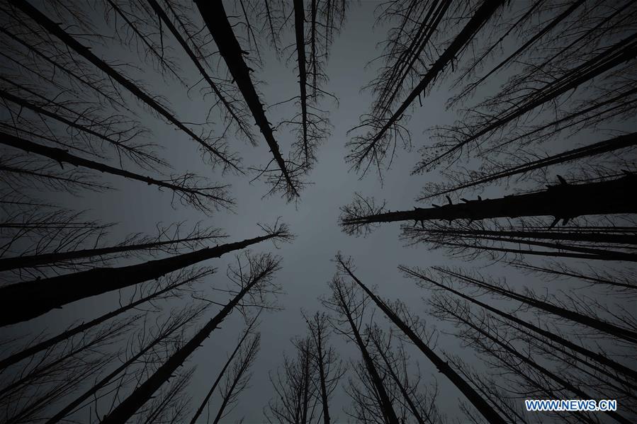 AUSTRALIA-CANBERRA-BUSHFIRE