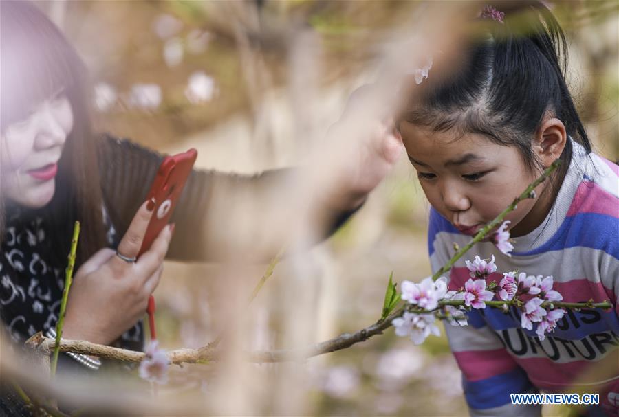CHINA-XINJIANG-SHANSHAN COUNTY-PEACH BLOSSOM (CN)