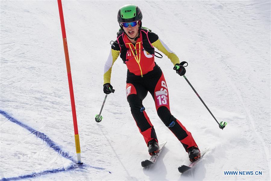 (SP)SWITZERLAND-VILLARS-WINTER YOG-SKI MOUNTAINEERING-SPRINT